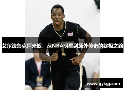 艾尔法鲁克阿米奴：从NBA明星到场外传奇的终极之路